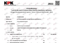 Diduga Bohongi Publik Soal LHKPN, IWO Desak KPK Panggil dan Periksa VP PLN Sayfa Auliya Achidsti