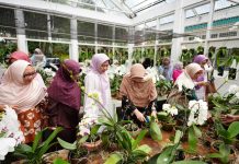 PUI Anggrek Unila Gelar Soft Launching dan Tinjau Tempat Penanaman Anggrek