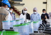 Gubernur Cukupi Kebutuhan Pupuk 190.851 Petani Lampung
