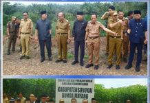 Wakil Bupati Lampung Utara Dampingi Komisi I DPRD Provinsi Lampung Tinjau Lokasi Calon Daerah Otonomi Baru Sungkai Bunga Mayang