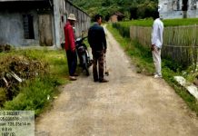 Catatan 100 Hari Pemerintahan Mirza-Jihan, Pemprov Lampung Bangun Konektivitas dan Infrastruktur Pertanian