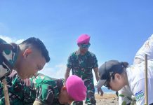 Menjaga Kelestarian Mangrove; Danbrigif 4 Mar/BS Bersama Golden Tulip Tanam 5.000 Bibit Mangrove di Pantai Piabung