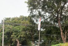 Dekan FEB Unila Diduga Bungkam Kasus Kekerasan dan Pelanggaran Etik Ormawa, Mahasiswa Gelar Aksi