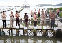 Pemprov Lampung Dorong Pelestarian Lingkungan Lebih Masif dan Berdampak Luas Bagi Ekosistem, Salah Satunya dengan Penanamam 1.000 Bibit Mangrove dalam Kegiatan Sigma Environmental Project 2025