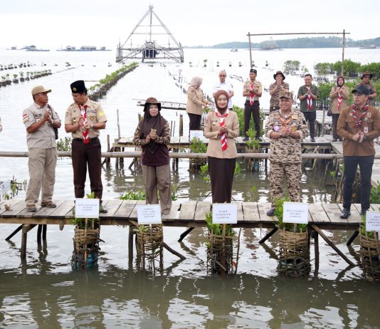 Pemprov Lampung Dorong Pelestarian Lingkungan Lebih Masif dan Berdampak Luas Bagi Ekosistem, Salah Satunya dengan Penanamam 1.000 Bibit Mangrove dalam Kegiatan Sigma Environmental Project 2025
