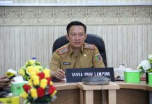 Pemprov Lampung Ikuti Rapat Koordinasi Pengendalian Inflasi 2025, Berhasil Jaga Inflasi dalam Rentang Target Nasional