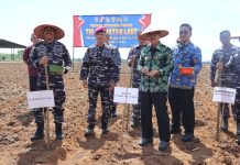 PEMERINTAH KABUPATEN LAMPUNG UTARA DUKUNG PROGRAM KETAHANAN PANGAN NASIONAL MELALUI PENANAMAN KEDELAI 100 HEKTAR BERSAMA TNI AL DAN PT KUAB
