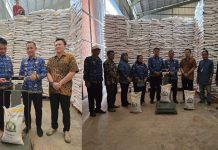 901 Ton Beras Bantuan Pangan Siap Didistribusikan 21 Juli 2025, Pemkab Way Kanan Pastikan Kualitas dan Kesiapan