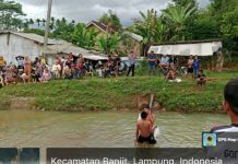 Karang Taruna Sumber Baru Gelar Lomba Babat Bantal Usai 17 Agustus