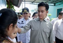 Pj Gubernur Papua Agus Fatoni Dampingi Wapres Gibran Tinjau Cek Kesehatan Gratis di Puskesmas Kampung Harapan