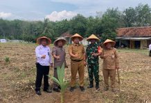 Dukung Ketahanan Pangan Nasional, Lapas Way Kanan Tanam 200 Bibit Pohon Kelapa