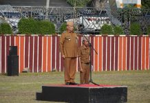 Menuju Lampung Lumbung Pangan Nasional, Gubernur Dorong Sinergi Pembangunan Perkebunan Berkelanjutan