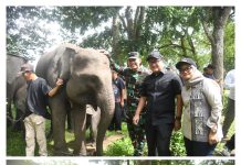 Ketua DPRD Lampung: Atensi Presiden Jadikan Way Kambas Percontohan Nasional Harus Dikawal Bersama