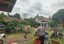 Ratusan Personel dan Warga Sisir Perkebunan di Jalinsum Kasui–Simpang 4, Polisi Langsung Buru Laporan Warga