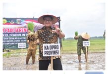 Ketua DPRD Provinsi Lampung, A. Giri Akbar, S.E., M.B.A., menghadiri kegiatan Tanam Padi Bersama Forum Koordinasi Pimpinan Daerah (Forkopimda)
