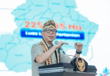 Pendapatan Petani di Lampung Melonjak, Harga Komoditas Menguat, Bukti Komitmen Presiden Prabowo dan Gubernur Mirza Mewujudkan Kesejahteraan Hingga Tingkat Desa