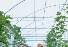 Wagub Jihan Nurlela Panen Raya Melon di SMK Negeri Pertanian Pembangunan Natar, Hasil dari Pengembangan Smart Greenhouse Berbasis Internet of Things
