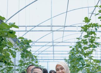 Wagub Jihan Nurlela Panen Raya Melon di SMK Negeri Pertanian Pembangunan Natar, Hasil dari Pengembangan Smart Greenhouse Berbasis Internet of Things