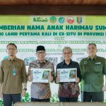 Gubernur Rahmat Mirzani Djausal Perkenalkan Anak Harimau Sumatera Bernama Puspa dan Muli Sikop di Taman Satwa Lembah Hijau, Minimnya Populasi Membuat Konservasi Satwa Liar Kian Mendesak