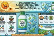 Pemprov Lampung Perkuat Mitigasi dan Antisipasi Dampak El Nino terhadap Sektor Pertanian