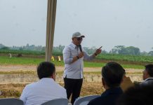 Lampung Dorong Investasi Energi Hijau, Proyek Bioetanol Siap Dikembangkan