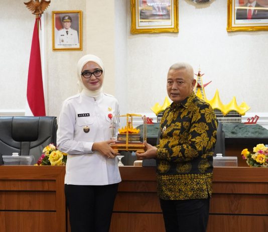 Didukung Infrastruktur Lengkap, Lampung Mantapkan Daya Tarik Investasi dan Hilirisasi