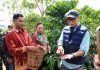 PHC Ubah Wajah Perkebunan Kopi Lampung, Gubernur Mirza Dorong Produktivitas Kopi Meningkat