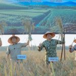 Gubernur Lampung dan Pangdam XXI/Radin Inten Ikuti Panen Raya TNI Serentak, Dukung Swasembada Pangan Nasional
