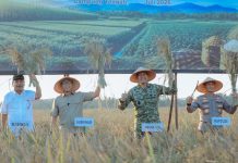 Gubernur Lampung dan Pangdam XXI/Radin Inten Ikuti Panen Raya TNI Serentak, Dukung Swasembada Pangan Nasional