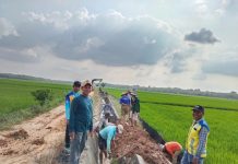 Kepala Kampung dan Warga Pisang Indah Bersama Petugas Irigasi, Bergotong Royong Jamin Aliran Air Sawah