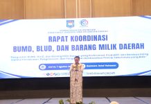Dirjen Bina Keuangan Daerah, A. Fatoni : Perlu dioptimalkan BUMD, BLUD, dan BMD