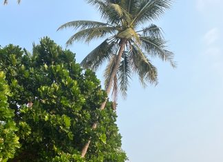 Pantai Tanjung Gading Punya Potensi Wisata, KKN UML Dorong Promosi dan Perhatian Infrastruktur