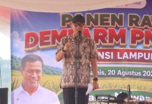 PM-AAS dan POC Dongkrak Produktivitas Padi, Gubernur Mirza Perkuat Kemandirian Petani