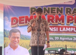PM-AAS dan POC Dongkrak Produktivitas Padi, Gubernur Mirza Perkuat Kemandirian Petani