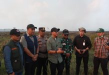 Gubernur Mirza Pastikan Penanganan Kebakaran di Braja Harjosari Terkendali, Tim Gabungan Cegah Api Masuk TN Way Kambas