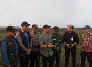 Gubernur Mirza Pastikan Penanganan Kebakaran di Braja Harjosari Terkendali, Tim Gabungan Cegah Api Masuk TN Way Kambas