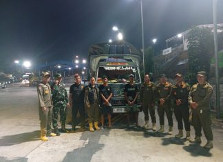 Jaga Pasokan Pangan, Satpol PP Provinsi Lampung dan Satgas TNI Pantau Pengiriman Gabah di Bakauheni