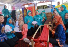 Purnama Wulan Sari Mirza Dorong Desa Tapis Muara Tenang Jadi Desa Percontohan di Mesuji