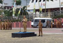 Sektor Perkebunan Jadi Penopang Ekonomi, Pemprov Lampung Perkuat Produksi hingga Hilirisasi