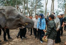 Kunjungan Komisi IV DPR RI, Pemprov Lampung Perkuat Komitmen Mitigasi Karhutla Taman Nasional Way Kambas