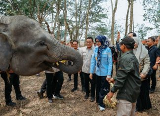 Kunjungan Komisi IV DPR RI, Pemprov Lampung Perkuat Komitmen Mitigasi Karhutla Taman Nasional Way Kambas
