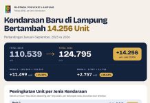 Penjualan Kendaraan Niaga Naik, Trend Positif Penguatan Distribusi Hasil Pertanian Lampung