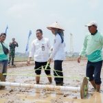 Pemprov Lampung Perkuat Pertanian Modern untuk Tingkatkan Produktivitas dan Pendapatan Petani