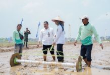 Pemprov Lampung Perkuat Pertanian Modern untuk Tingkatkan Produktivitas dan Pendapatan Petani