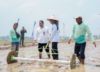 Pemprov Lampung Perkuat Pertanian Modern untuk Tingkatkan Produktivitas dan Pendapatan Petani
