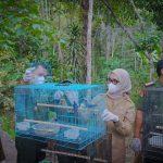 Wagub Jihan Dorong Pengelolaan Hutan Lampung yang Lestari dan Berkelanjutan