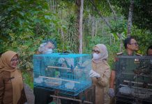 Wagub Jihan Dorong Pengelolaan Hutan Lampung yang Lestari dan Berkelanjutan
