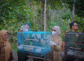 Wagub Jihan Dorong Pengelolaan Hutan Lampung yang Lestari dan Berkelanjutan