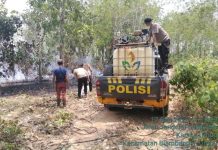 Apresiasi Gerak Cepat Kapolres Way Kanan Kebakaran Lahan PTPN VII Berhasil Dipadamkan Berkat Layanan Darurat 110 yang Responsif!