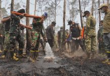 Gubernur Mirza Perkuat Penanganan Karhutla TNWK, Pemadaman Dikebut dan Kesehatan Warga Jadi Perhatian